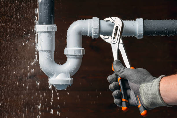 Professional Plumbing technician working in Hurlock, MD